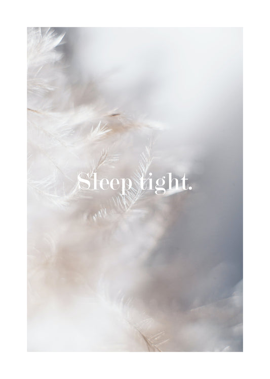 Sleep Tight Feathers