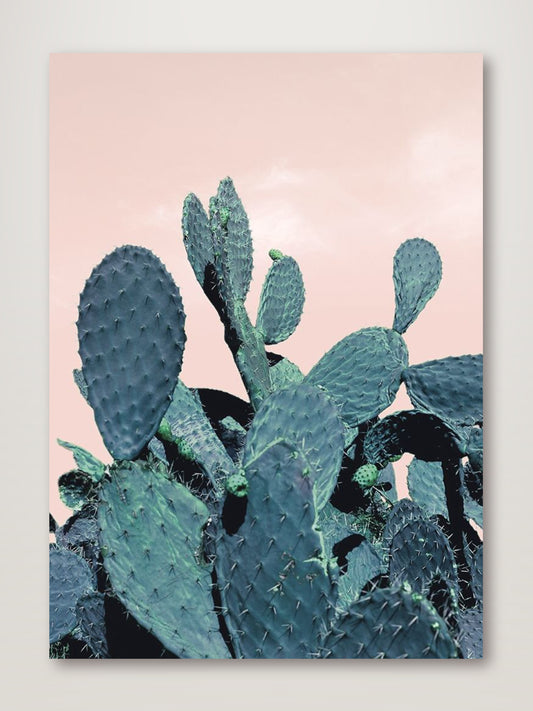 Cactus Raquettes
