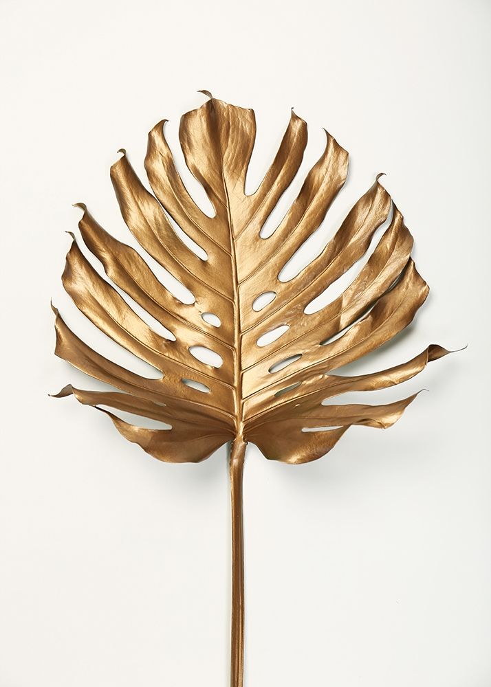 Monstera Leaf Gold