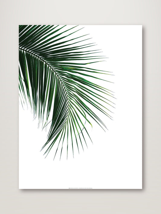 Green Palm Tree I