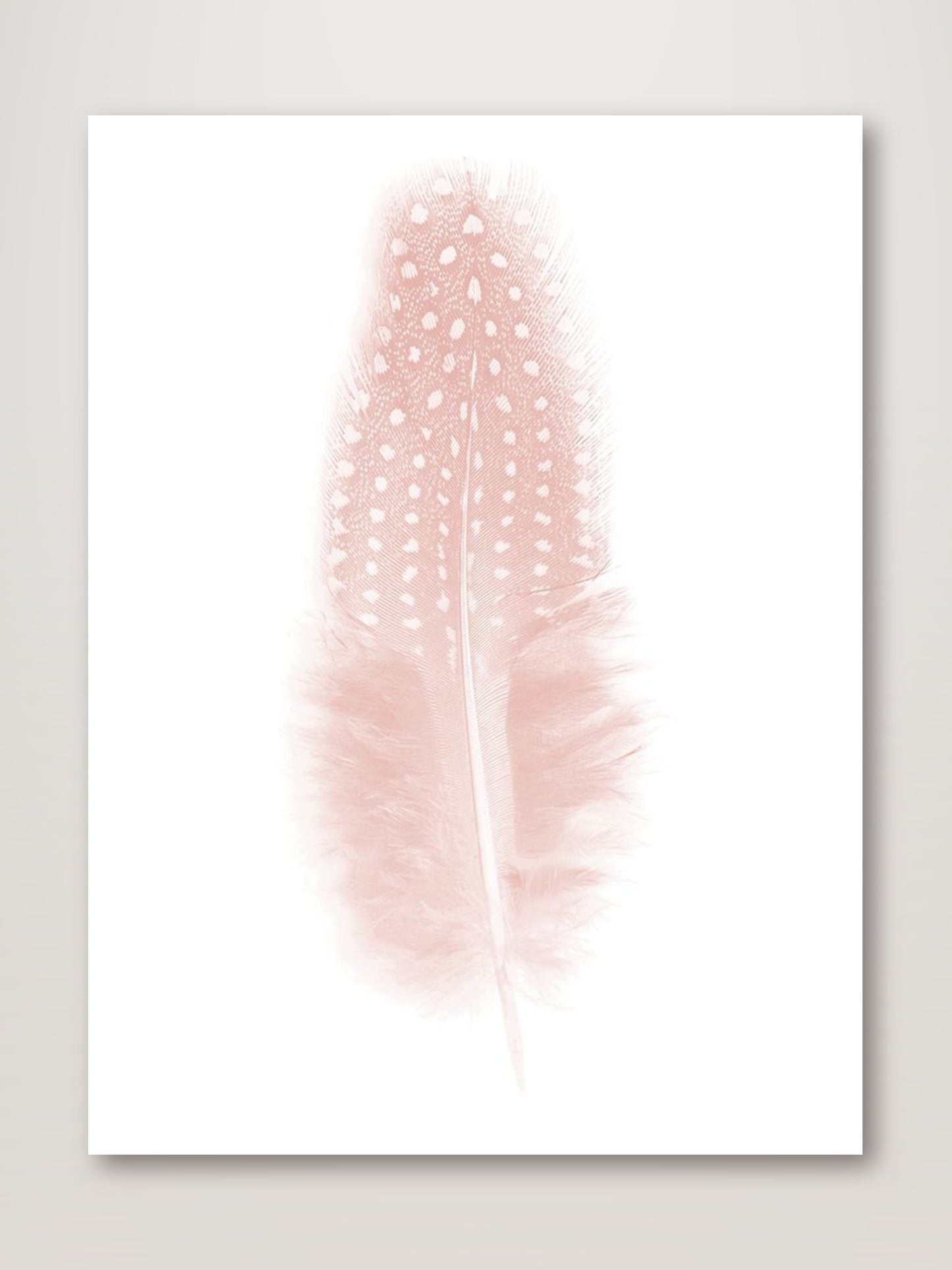 Quill Blush Poster