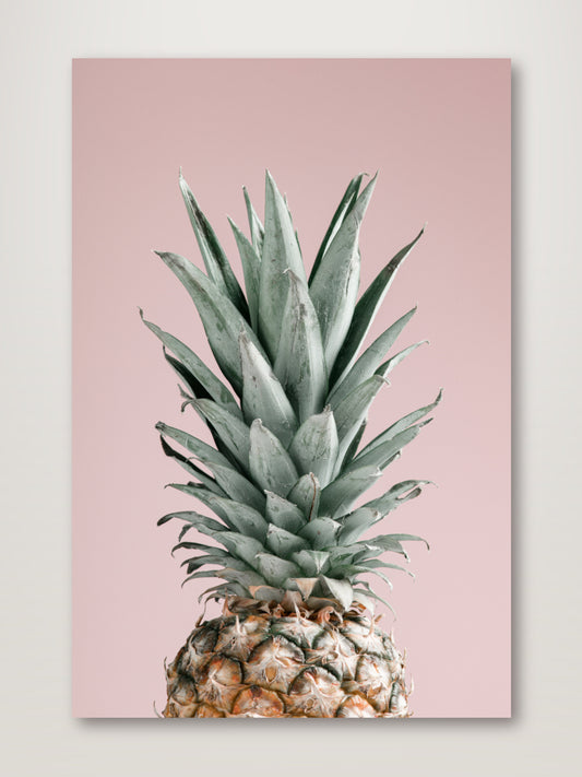 Pineapple Pink 02