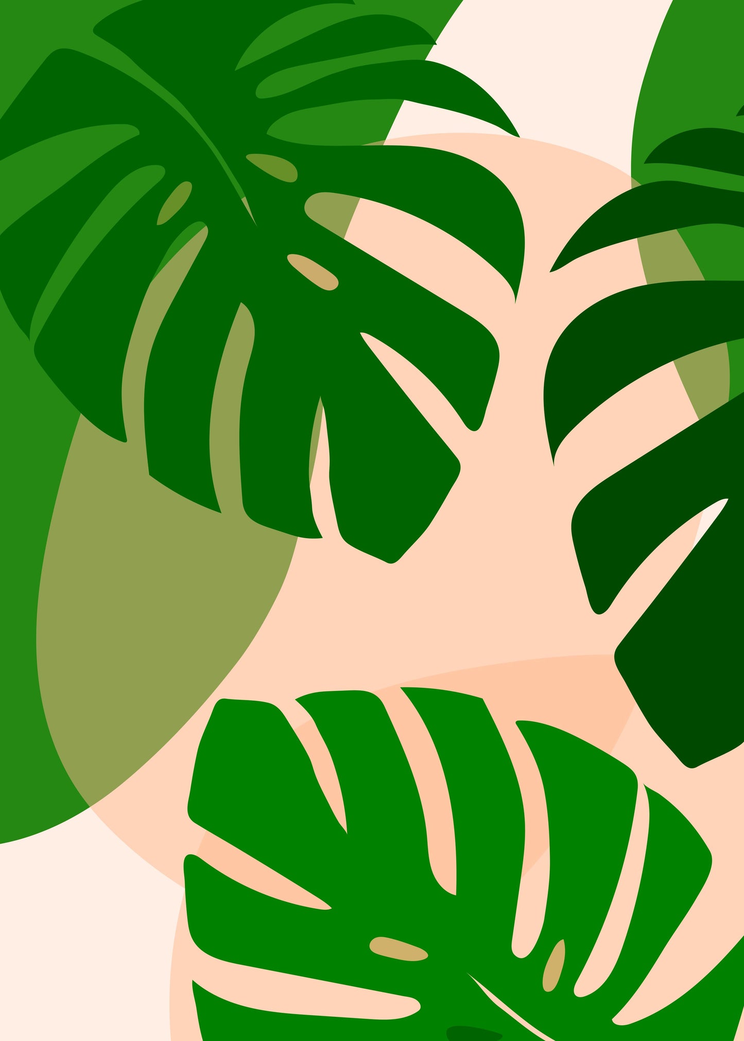 Monstera