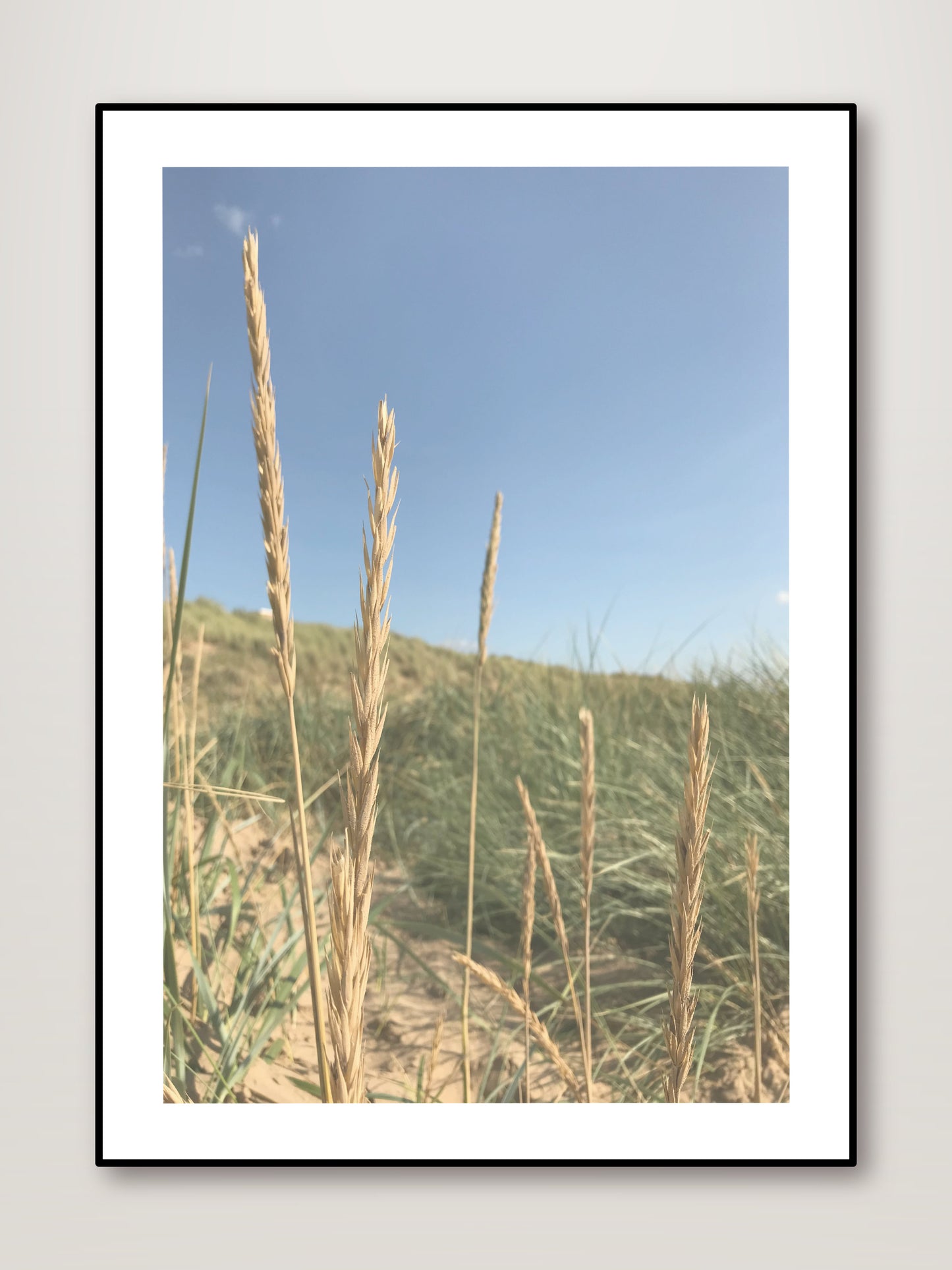 In the Reeds No.1