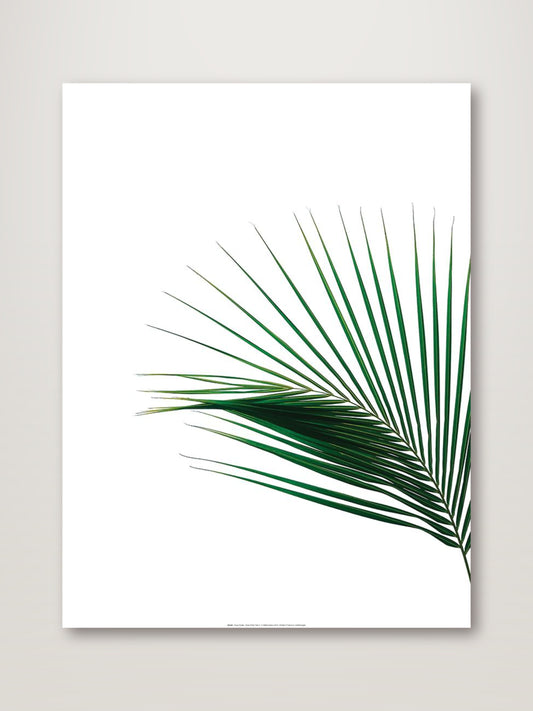 Green Palm Tree II