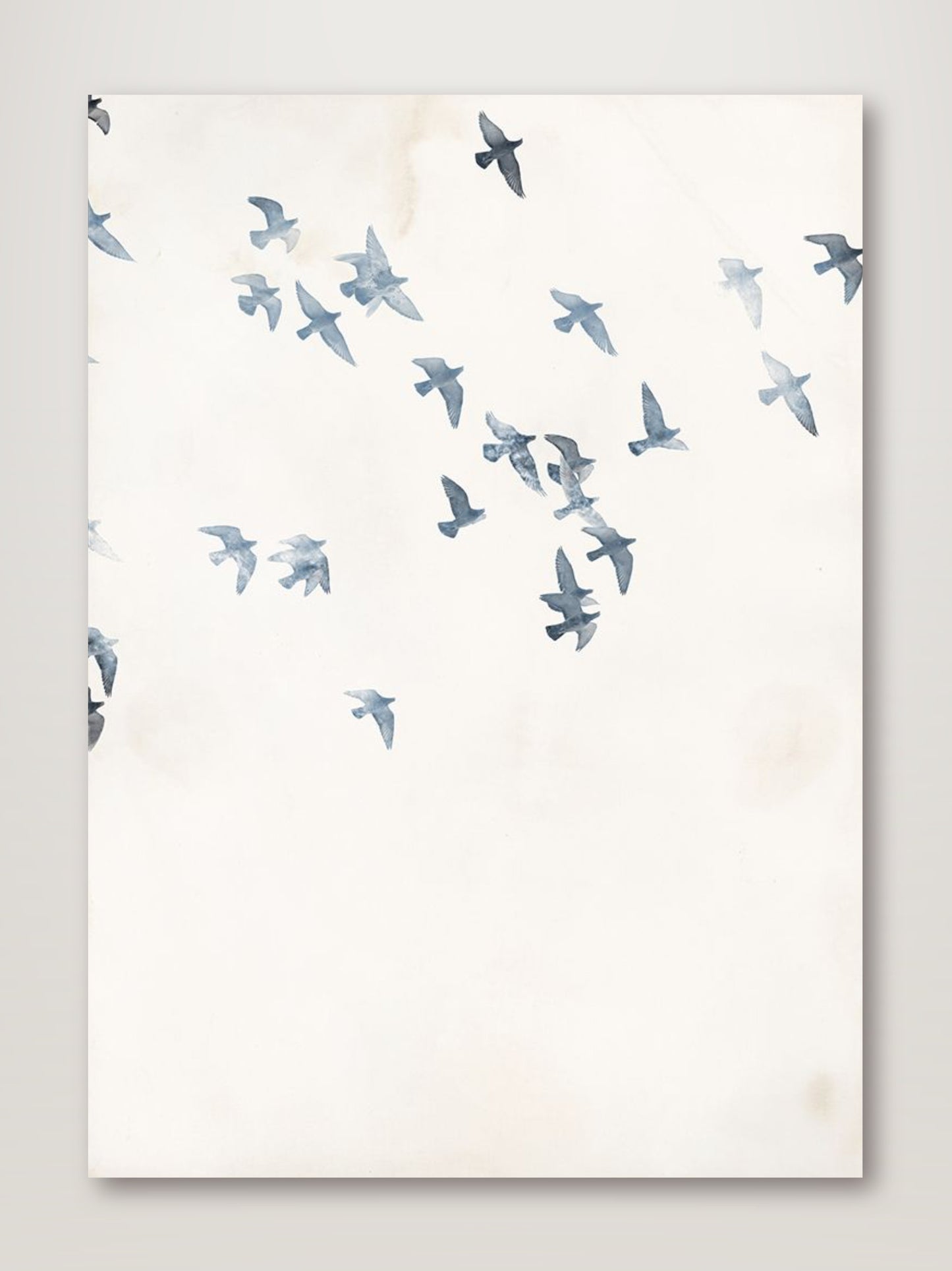 Pigeons Sky